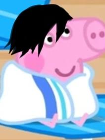 鬼灭之刃只为她袖手天下